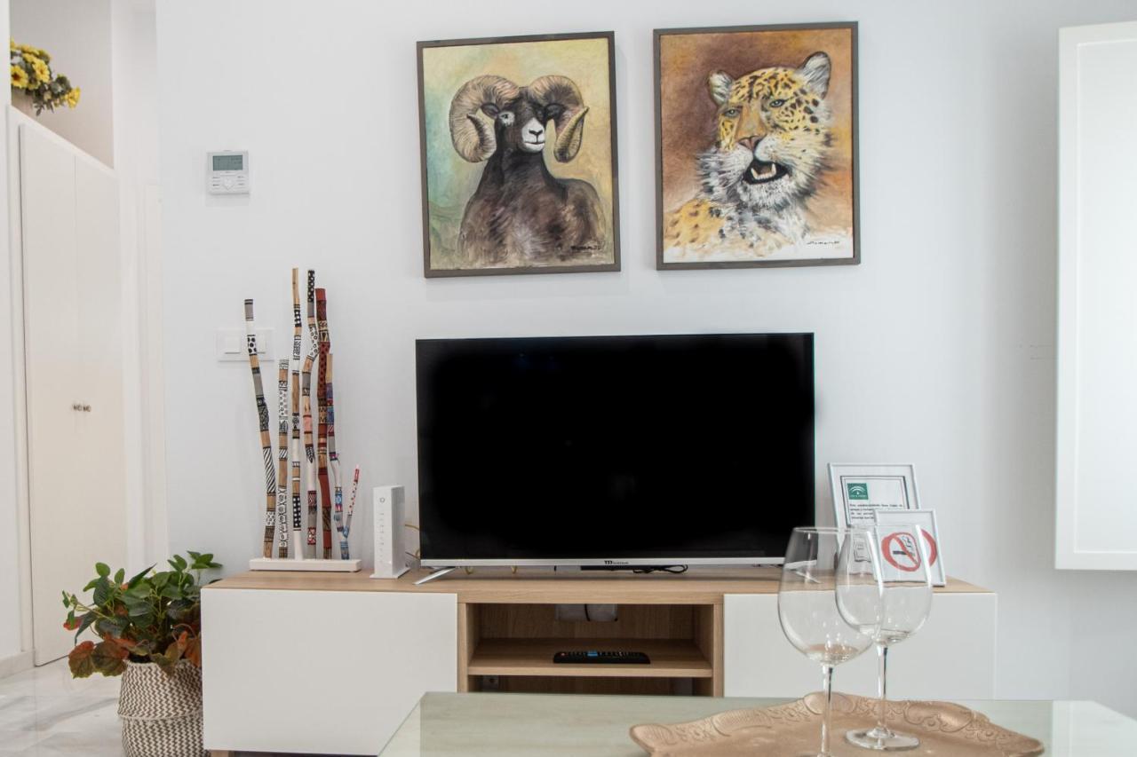 Apartamento Animalia كاديز المظهر الخارجي الصورة