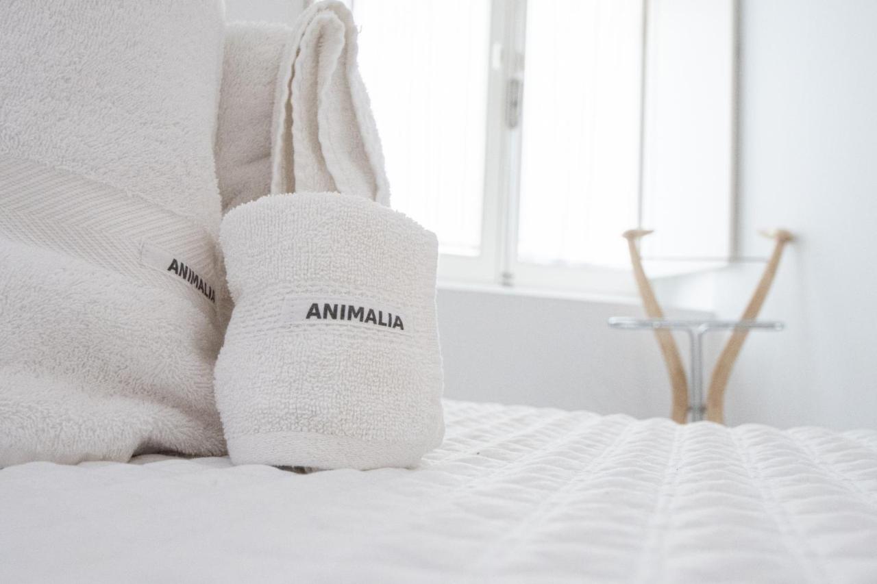 Apartamento Animalia كاديز المظهر الخارجي الصورة