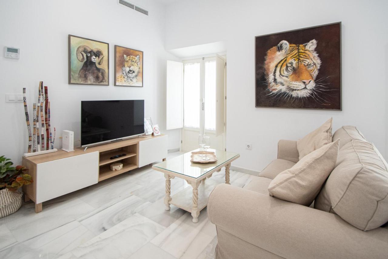 Apartamento Animalia كاديز المظهر الخارجي الصورة
