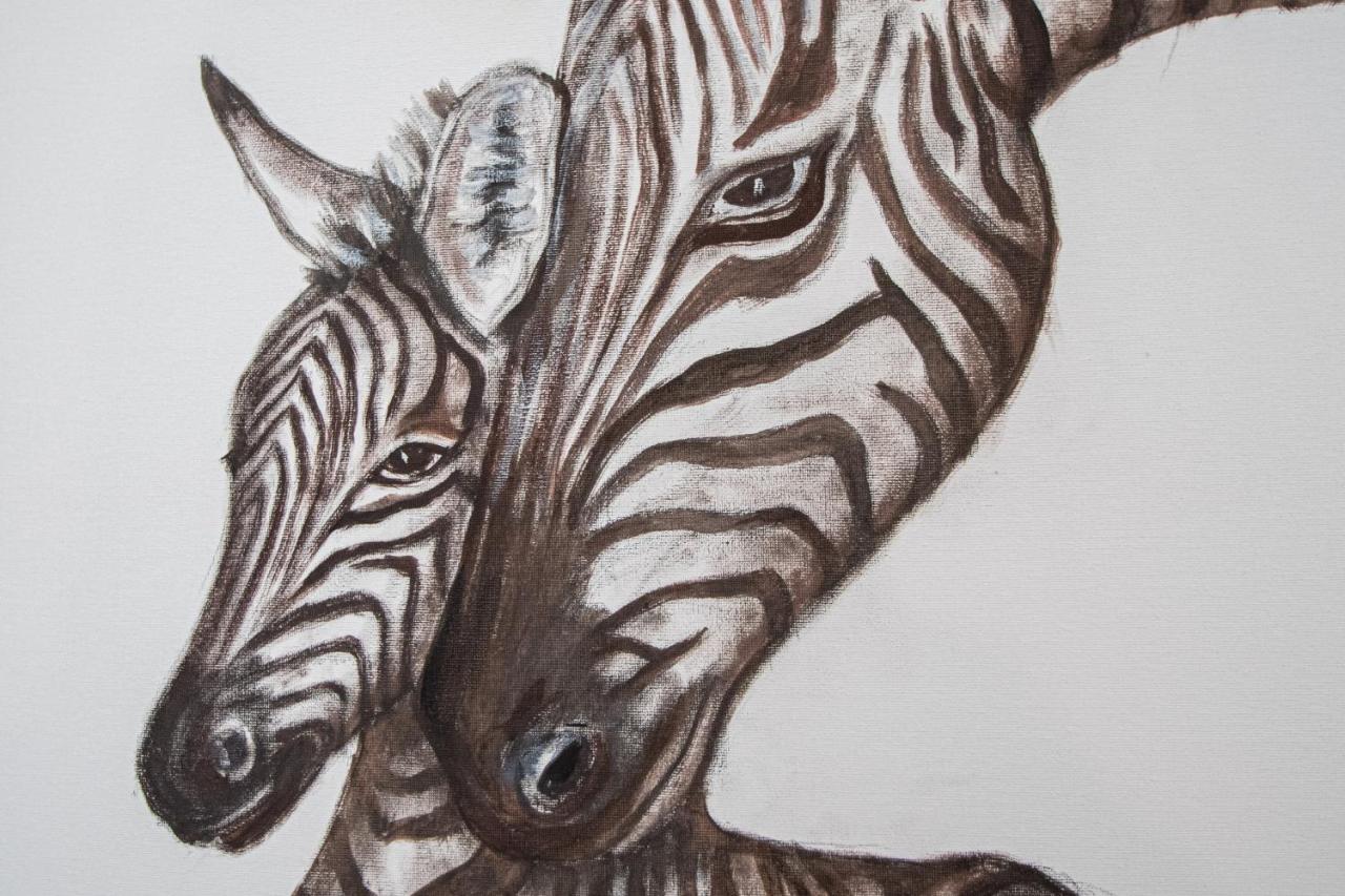 Apartamento Animalia كاديز المظهر الخارجي الصورة